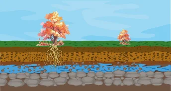 Microbiological, geochemical and matter transfer interactions: an integrated approach